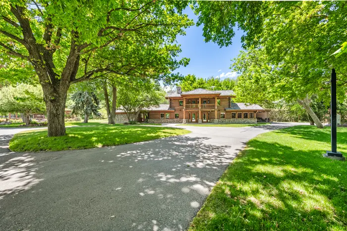 Fabian Cabin at the end of a tree-lined drive