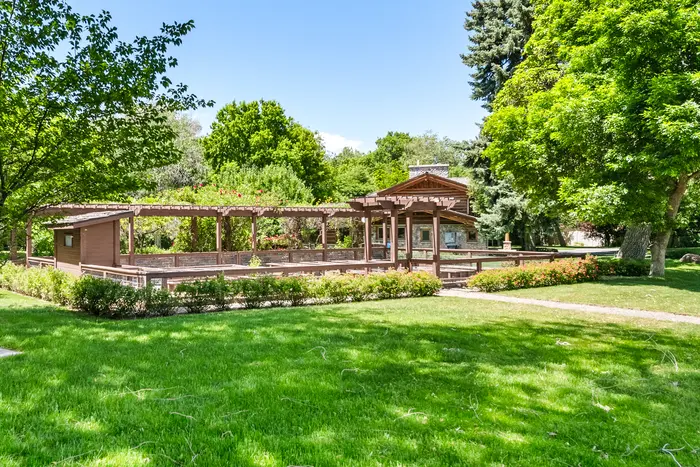 Cabin patio and surrounding gardens