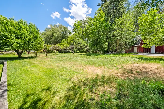 Open lawn on the cabin grounds